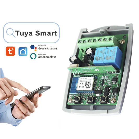 Receptor Wifi Universal 2 Canales Tuya
